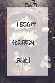 探访宣化郑家沟遗址