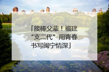 接棒父辈！福建“支二代”用青春书写闽宁情深