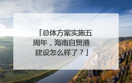总体方案实施五周年，海南自贸港建设怎么样了？