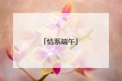情系端午