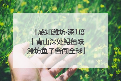 感知潍坊·深1度丨青山深处鲟鱼跃 潍坊鱼子酱闯全球