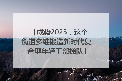 成势2025，这个街道多维锻造新时代复合型年轻干部梯队