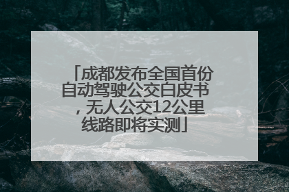 成都发布全国首份自动驾驶公交白皮书，无人公交12公里线路即将实测
