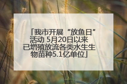 我市开展“放鱼日”活动 5月20日以来已增殖放流各类水生生物苗种5.1亿单位