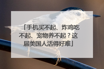 手机买不起、炸鸡吃不起、宠物养不起？这届美国人活得好难