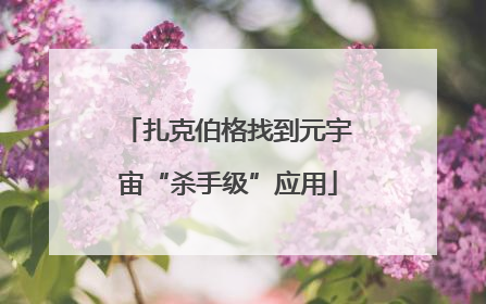 扎克伯格找到元宇宙“杀手级”应用