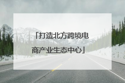 打造北方跨境电商产业生态中心