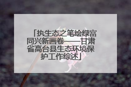 执生态之笔绘绿富同兴新画卷——甘肃省高台县生态环境保护工作综述