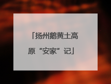 扬州鹅黄土高原“安家”记