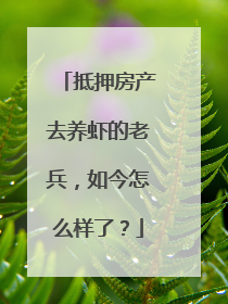 抵押房产去养虾的老兵，如今怎么样了？