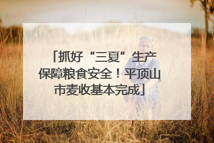 抓好“三夏”生产 保障粮食安全！平顶山市麦收基本完成