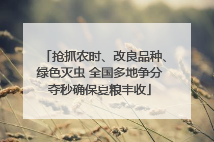 抢抓农时、改良品种、绿色灭虫 全国多地争分夺秒确保夏粮丰收