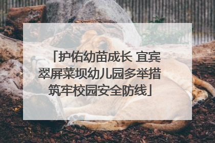 护佑幼苗成长 宜宾翠屏菜坝幼儿园多举措筑牢校园安全防线