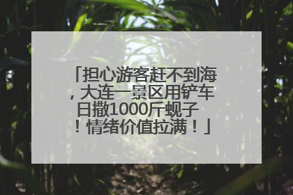 担心游客赶不到海，大连一景区用铲车日撒1000斤蚬子！情绪价值拉满！