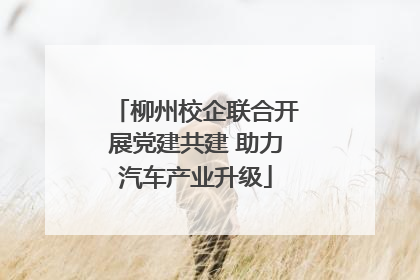 柳州校企联合开展党建共建 助力汽车产业升级