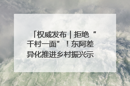 权威发布｜拒绝“千村一面”！东阿差异化推进乡村振兴示范片区建设