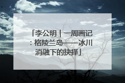李公明｜一周画记：格陵兰岛——冰川消融下的抉择