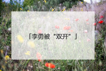 李勇被“双开”