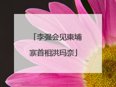 李强会见柬埔寨首相洪玛奈