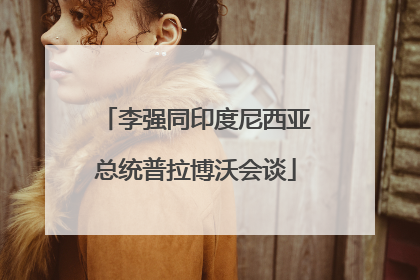 李强同印度尼西亚总统普拉博沃会谈