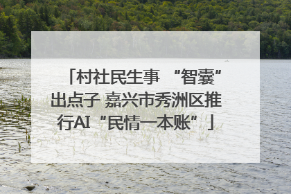 村社民生事 “智囊”出点子 嘉兴市秀洲区推行AI“民情一本账”
