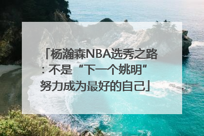 杨瀚森NBA选秀之路：不是“下一个姚明” 努力成为最好的自己
