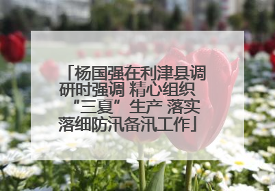 杨国强在利津县调研时强调 精心组织“三夏”生产 落实落细防汛备汛工作