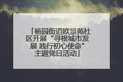 杨园街道欧景苑社区开展“寻根城市发展 践行初心使命”主题党日活动