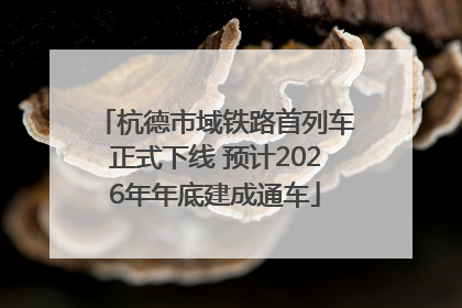 杭德市域铁路首列车正式下线 预计2026年年底建成通车