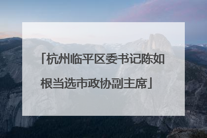 杭州临平区委书记陈如根当选市政协副主席