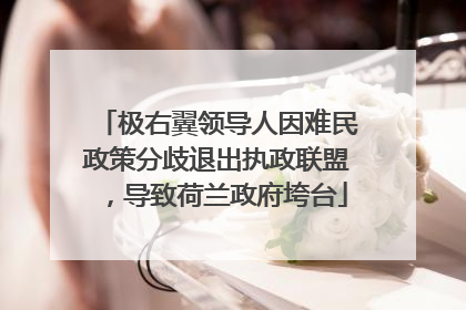 极右翼领导人因难民政策分歧退出执政联盟，导致荷兰政府垮台