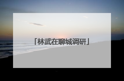 林武在聊城调研