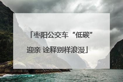 枣阳公交车“低碳”迎亲 诠释别样浪漫