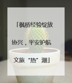 枫桥经验绽放协兴，平安护航文旅“热”潮