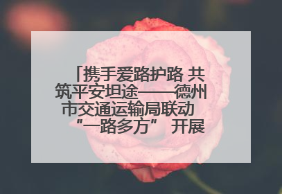 携手爱路护路 共筑平安坦途——德州市交通运输局联动 “一路多方” 开展路政宣传月活动