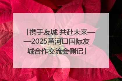 携手友城 共赴未来——2025黄河口国际友城合作交流会侧记