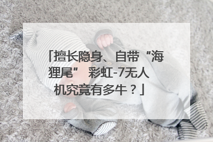 擅长隐身、自带“海狸尾” 彩虹-7无人机究竟有多牛？