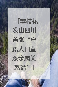 攀枝花发出四川首张“户籍人口直系亲属关系谱”