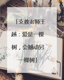 支教老师王越：爱是一棵树，会撼动另一棵树