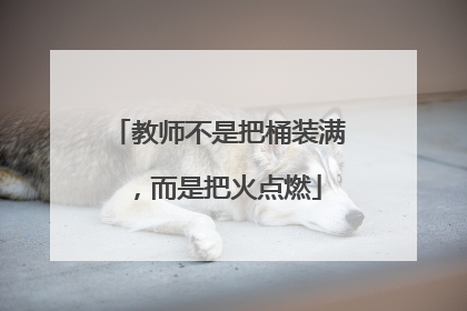 教师不是把桶装满，而是把火点燃