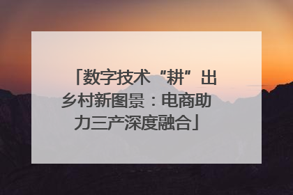 数字技术“耕”出乡村新图景：电商助力三产深度融合