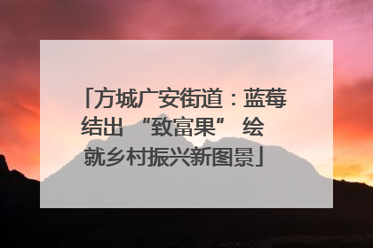 方城广安街道：蓝莓结出 “致富果” 绘就乡村振兴新图景
