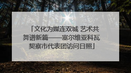 文化为媒连双城 艺术共舞谱新篇——塞尔维亚科瓦契察市代表团访问日照