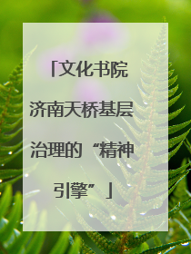文化书院 济南天桥基层治理的“精神引擎”