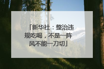 新华社：整治违规吃喝，不是一阵风不能一刀切