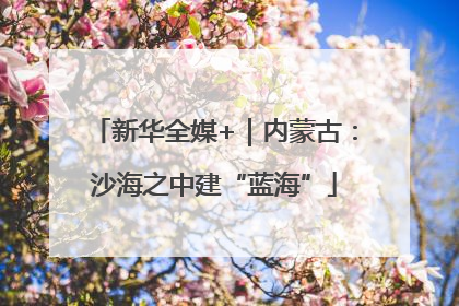 新华全媒+｜内蒙古：沙海之中建“蓝海”