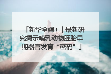 新华全媒+｜最新研究揭示哺乳动物胚胎早期器官发育“密码”