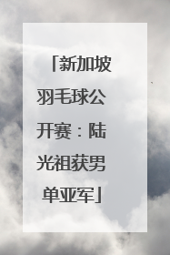 新加坡羽毛球公开赛：陆光祖获男单亚军