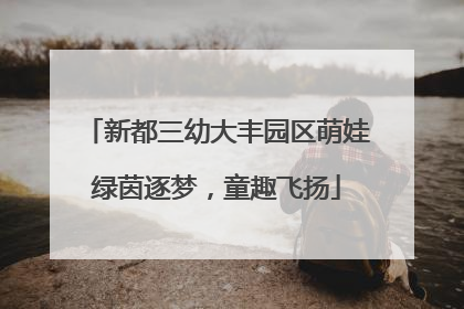新都三幼大丰园区萌娃绿茵逐梦，童趣飞扬
