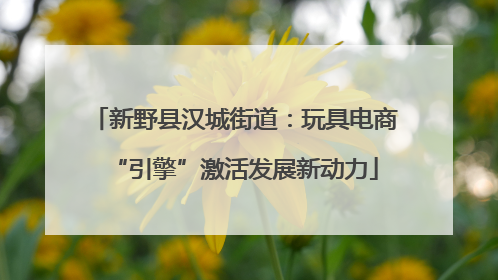 新野县汉城街道：玩具电商“引擎”激活发展新动力